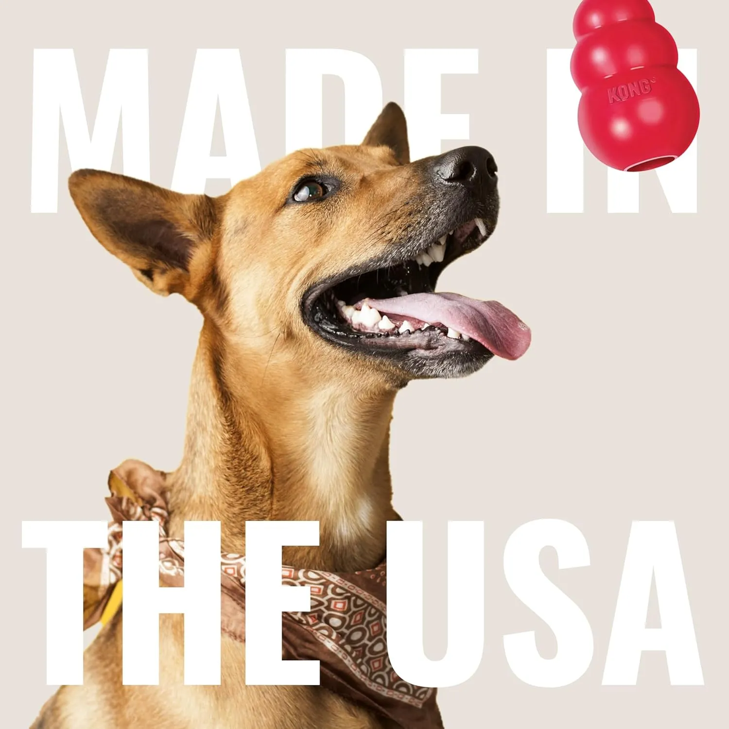 KONG Goodie Bone with Rope - Classic Durable Natural Rubber Dog Bone, Supports Mental Engagement - Treat Dispensing - Red - for Medium Dogs