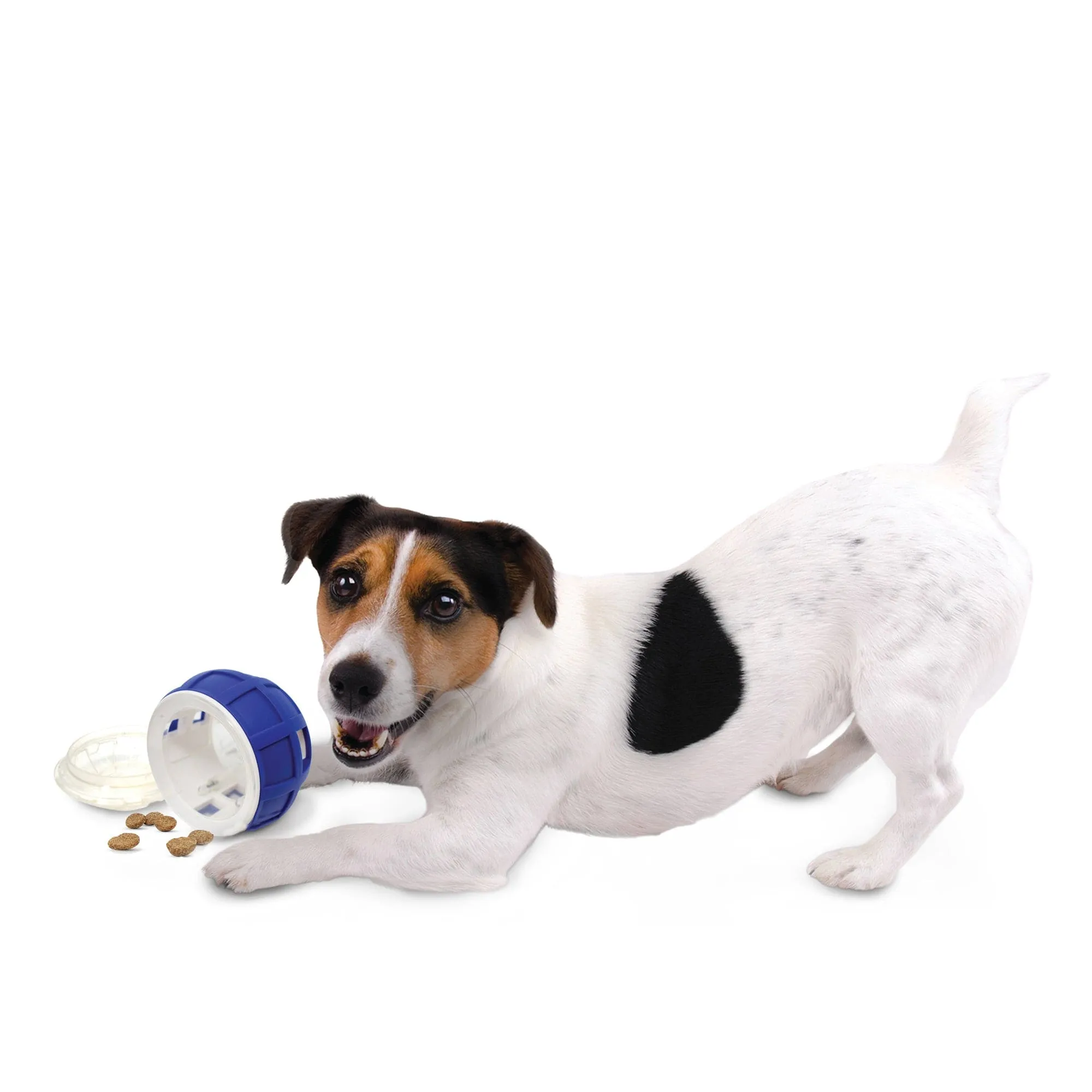 Nerf Dog Puzzle Feeder Dog Toy