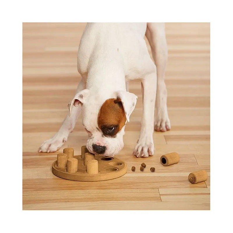 Nina Ottosson Dog Smart Composite