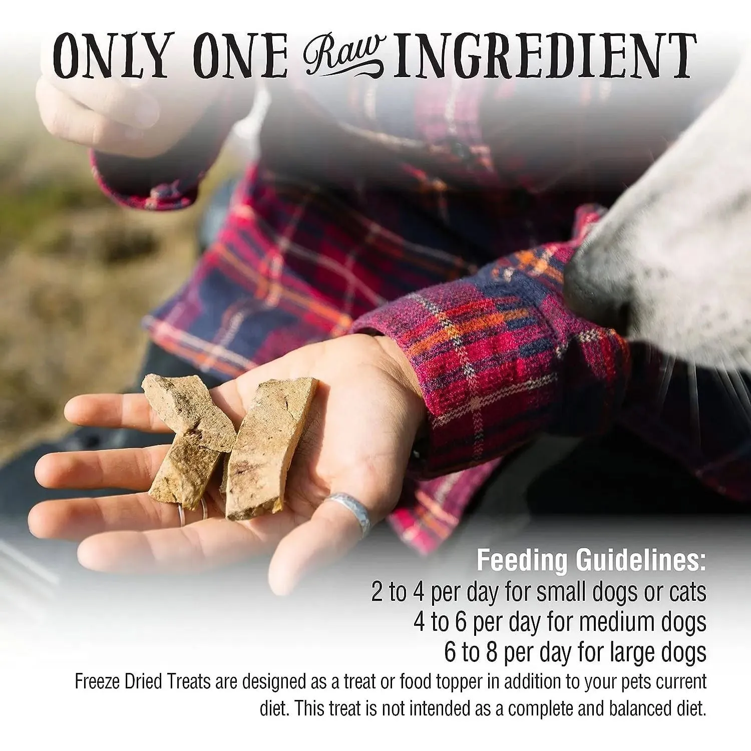 Northwest Naturals Beef Heart Freeze-Dried Treats for Dogs and Cats