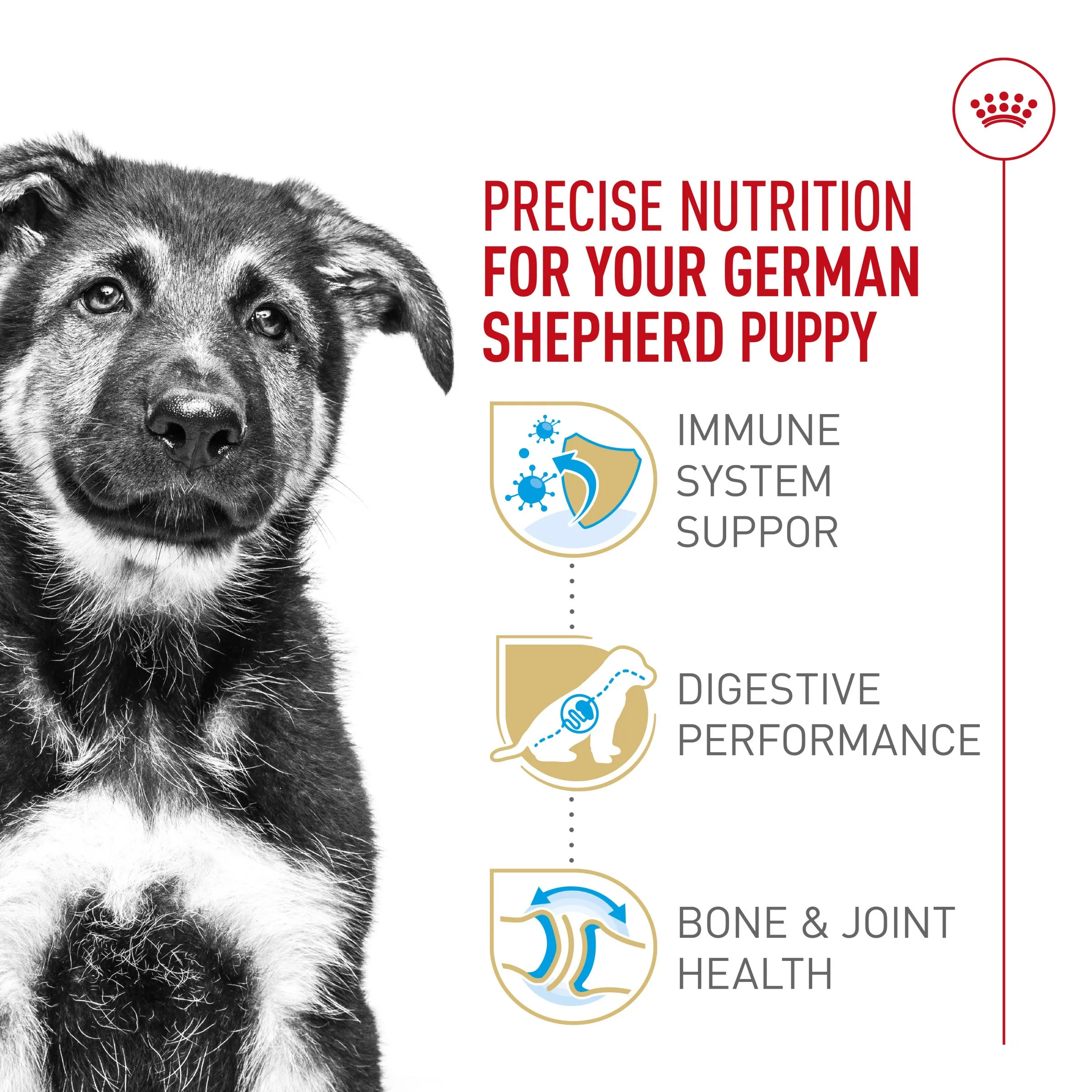 Royal Canin® Breed Health Nutrition® German Shepherd Puppy Dry Dog Food