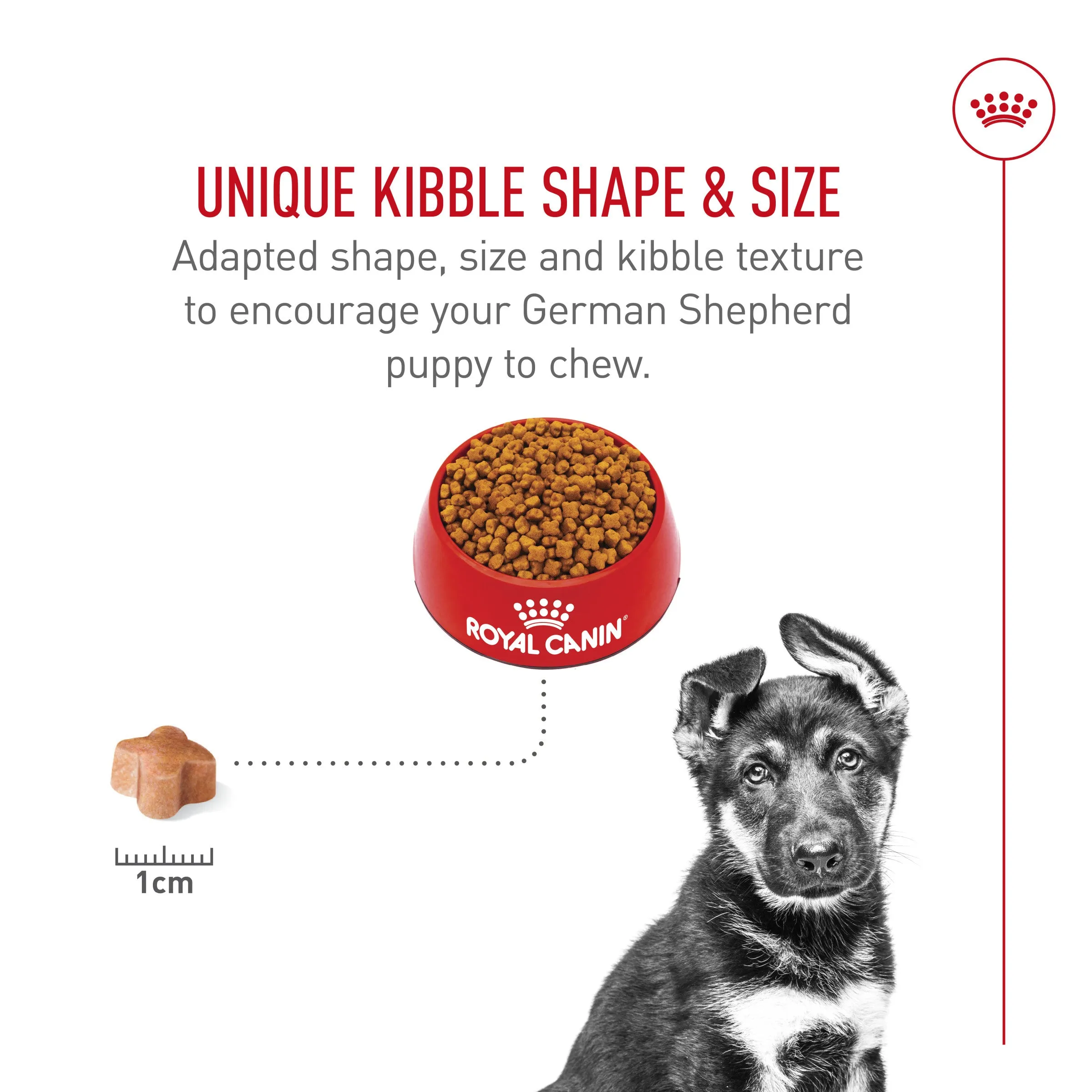 Royal Canin® Breed Health Nutrition® German Shepherd Puppy Dry Dog Food