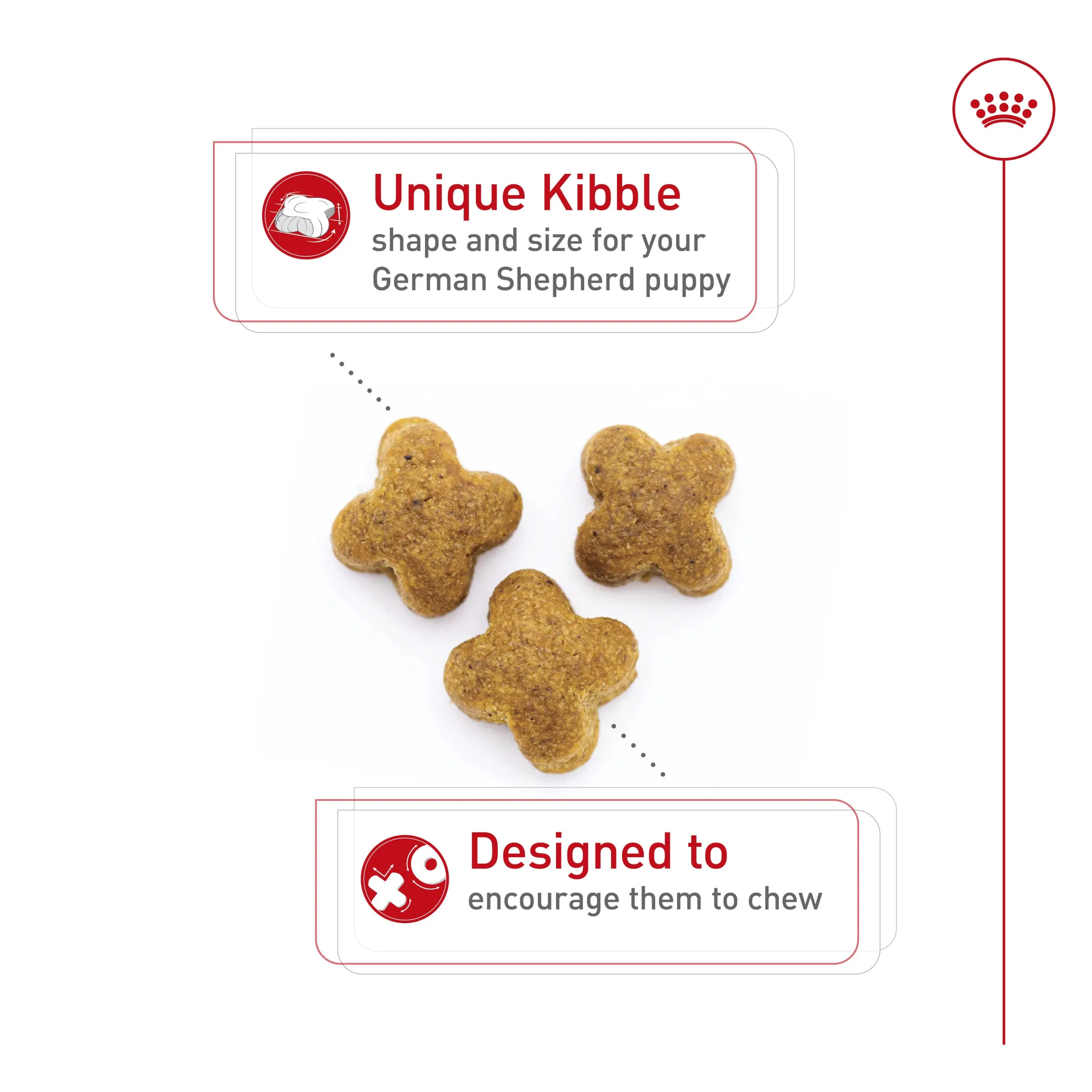 Royal Canin® Breed Health Nutrition® German Shepherd Puppy Dry Dog Food