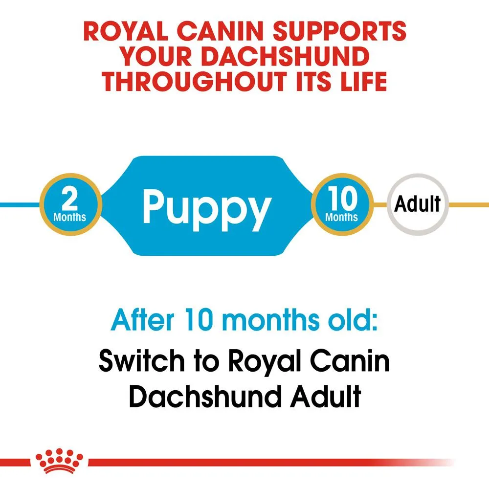 Royal Canin Dachshund Puppy Dry Dog Food