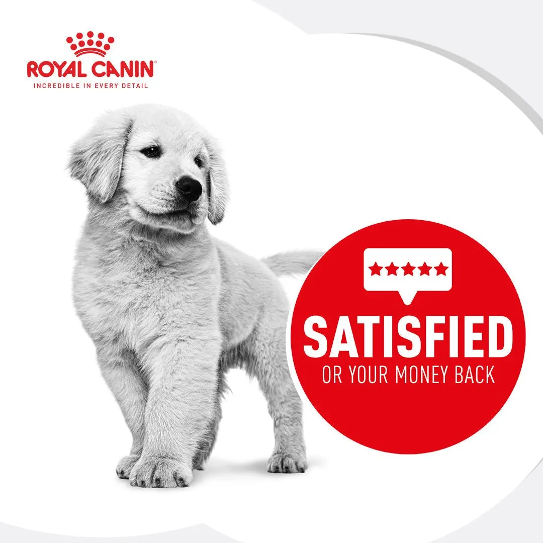 Royal Canin French Bulldog Puppy Dry Dog Food
