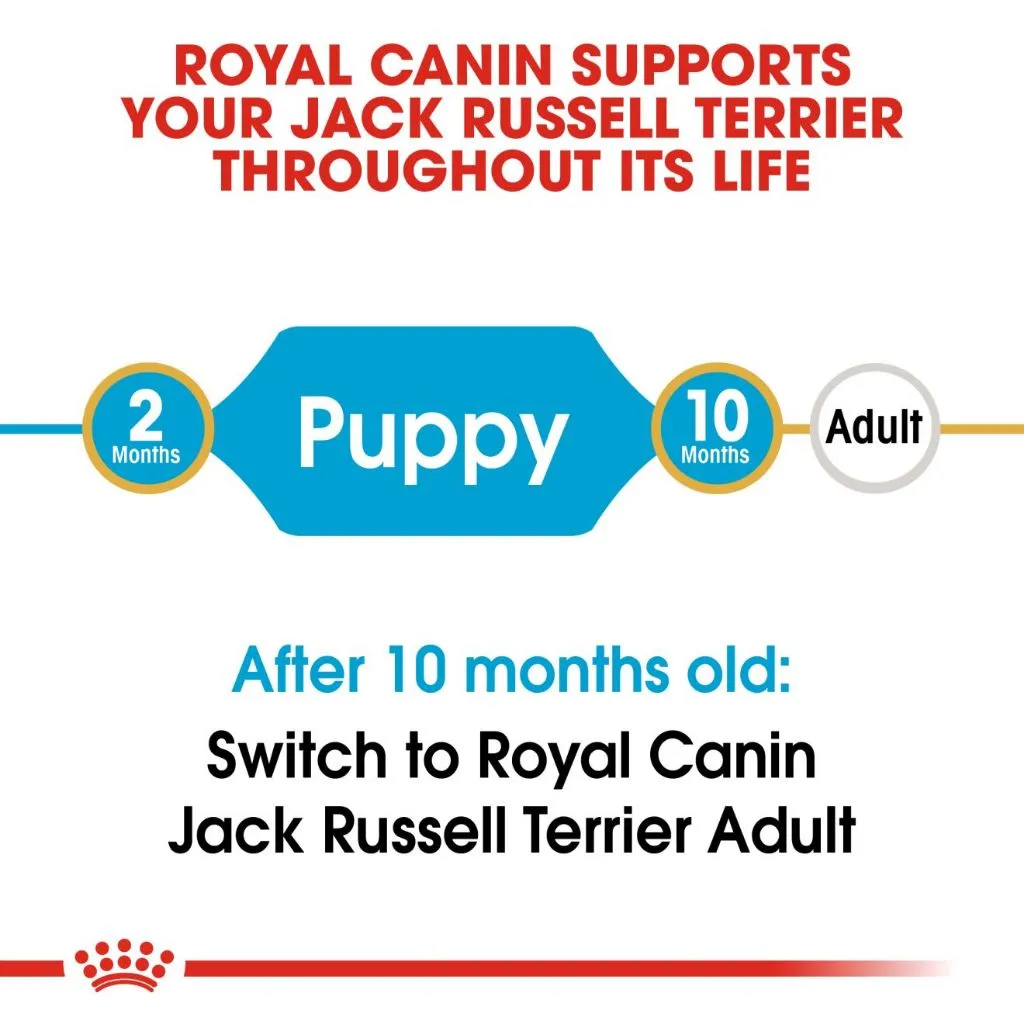 Royal Canin Jack Russell Puppy 1.5kg Dry Dog Food - Breed Health Nutrition