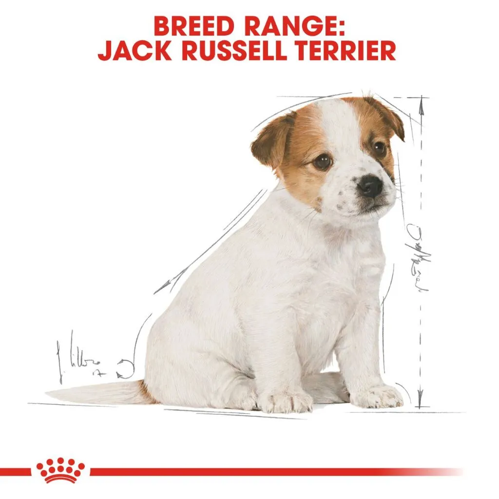 Royal Canin Jack Russell Puppy 1.5kg Dry Dog Food - Breed Health Nutrition