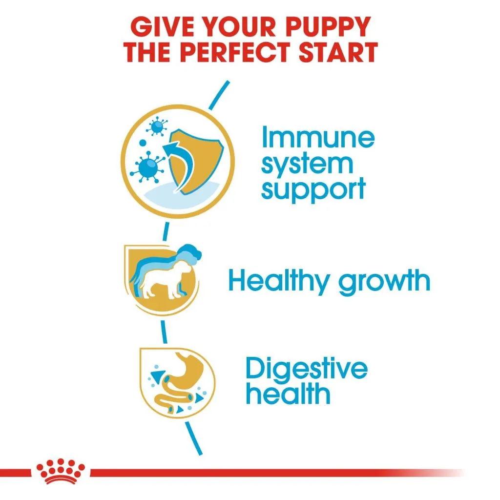 Royal Canin Jack Russell Puppy 1.5kg Dry Dog Food - Breed Health Nutrition
