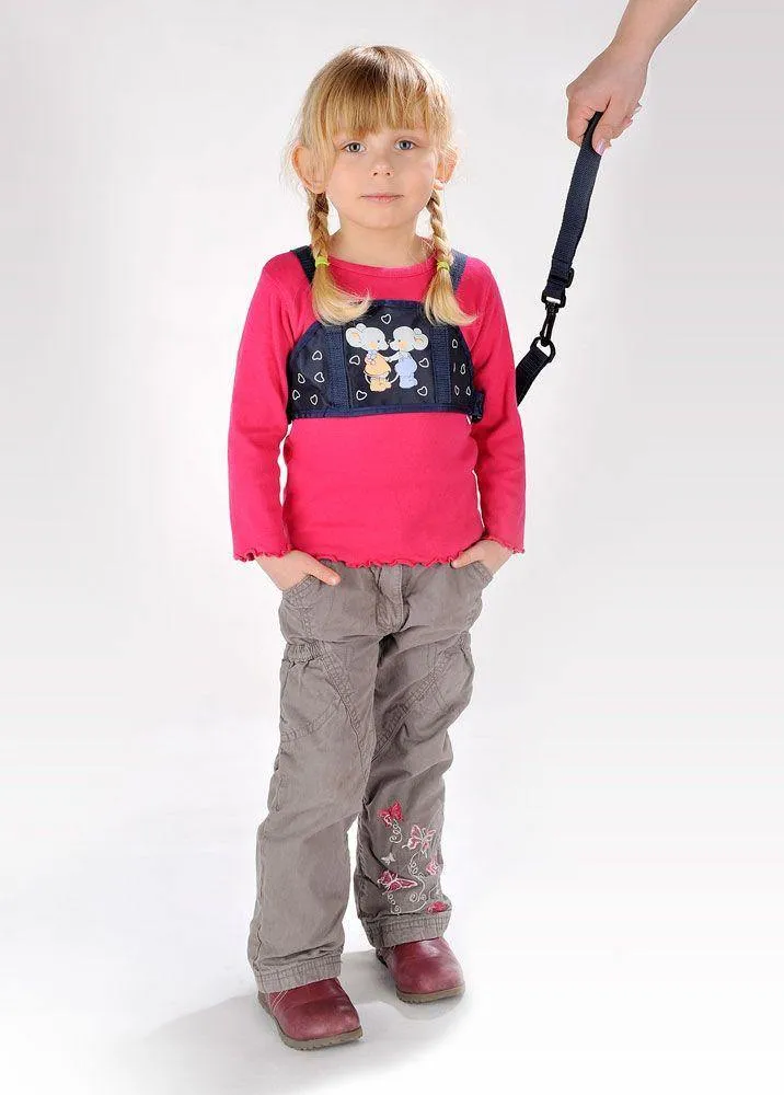 Safety Harness & Reins
