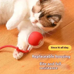 Smart Rolling Cat Ball