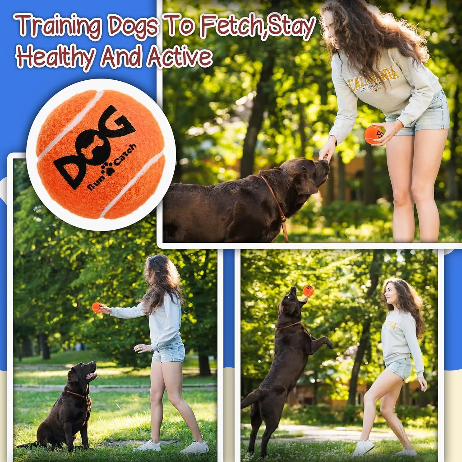 Squeaky Dog Balls - Squeaky Tennis Balls for Dogs, Orange | Medium - 2.5'', 4Pack