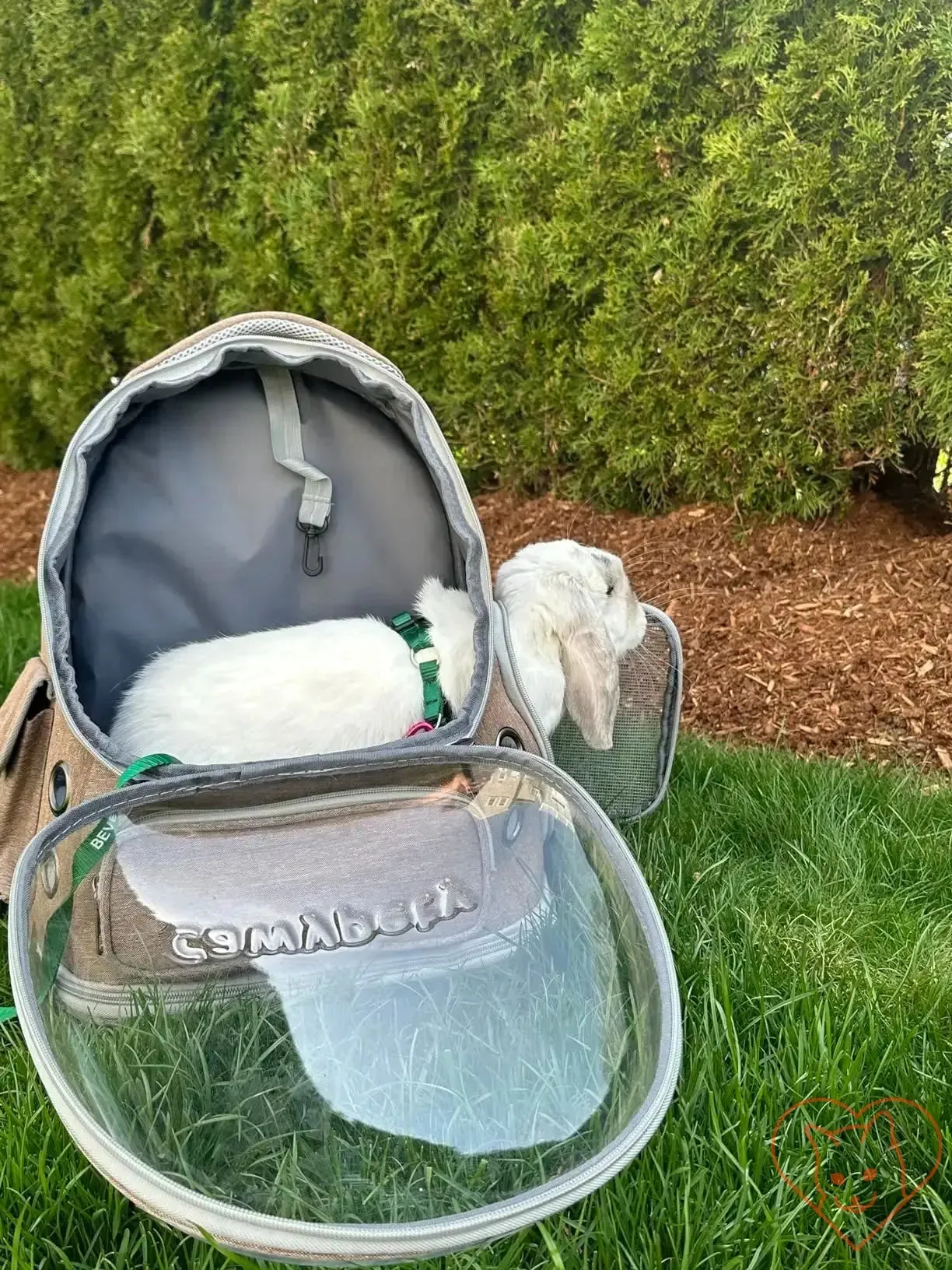 Transparent Folding Pet Carrier Backpack – Portable Travel Tote for Cats