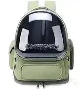 Transparent Folding Pet Carrier Backpack – Portable Travel Tote for Cats