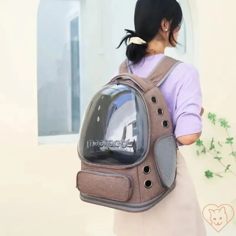 Transparent Folding Pet Carrier Backpack – Portable Travel Tote for Cats