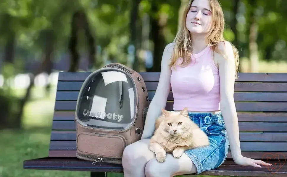 Transparent Folding Pet Carrier Backpack – Portable Travel Tote for Cats