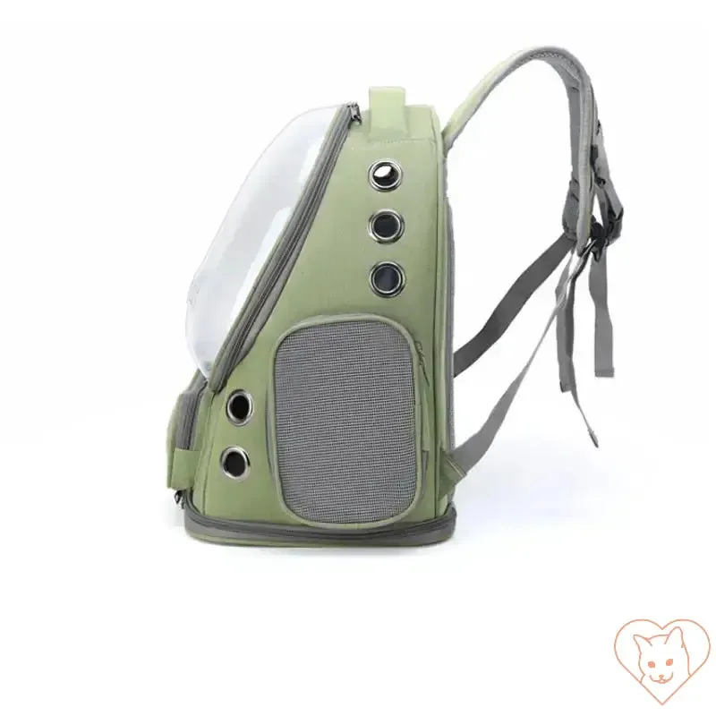Transparent Folding Pet Carrier Backpack – Portable Travel Tote for Cats
