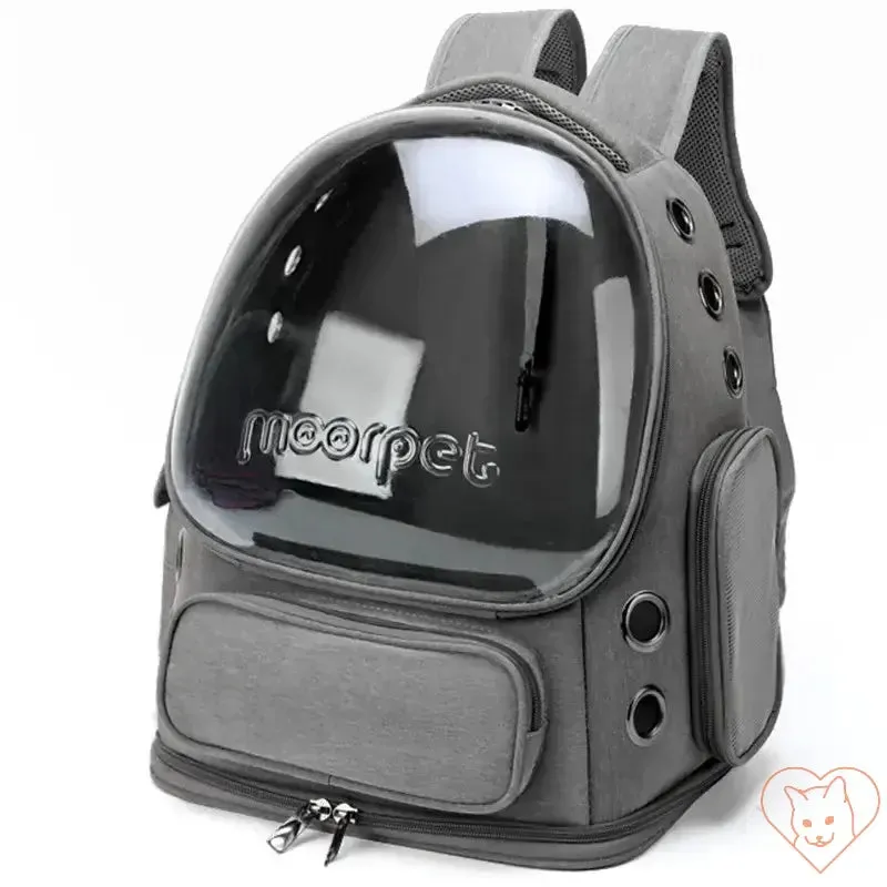 Transparent Folding Pet Carrier Backpack – Portable Travel Tote for Cats