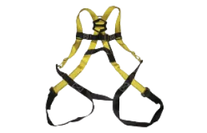 Universal Fit Safety Harness