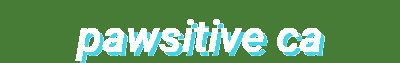 Pawsitive Care | Pet Food, Care Supplies, Toys & Safety Gear – 40% Off All Products